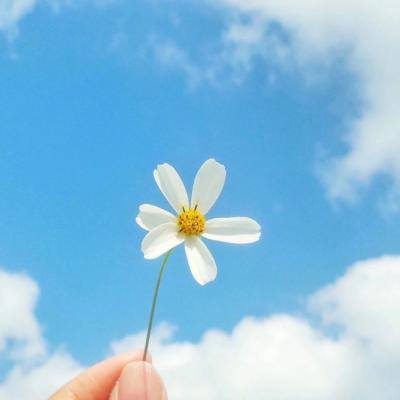 二人麻将下载手机版