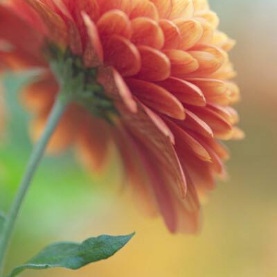 cq9电子游戏appapp下载