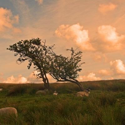 买大小单双彩票app