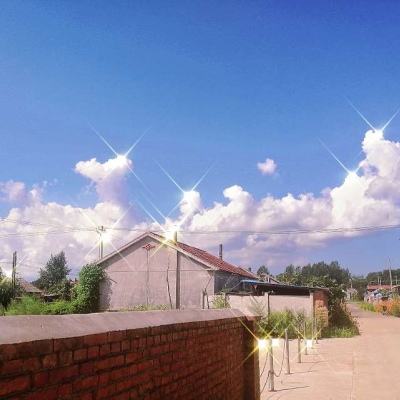 大发黄金版app下载截图