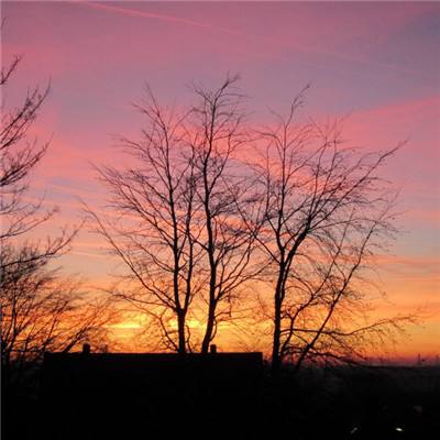 乐鱼体育下载手机版