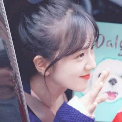 开云体云app下载手机版