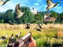 狙击手鸟类打猎