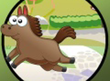 我的宝宝发现小马