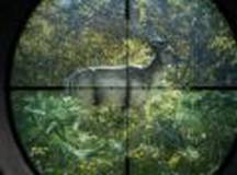 猎人野性的呼唤