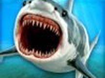 鲨鱼海底赛车