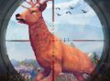 狙击手鹿射击猎人3D