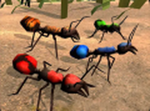 全员加速中之疯狂加速