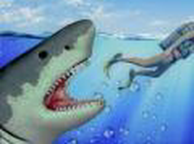 筏 生存 水下的 鲨鱼