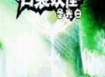 口袋妖怪圣光白