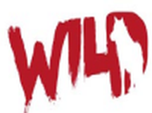 荒野八人组TheWildEight